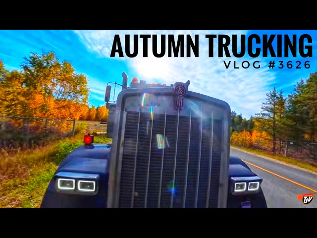 #3626 | AUTUMN TRUCKING | My Trucking Life
