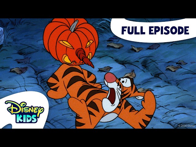Me And My Shadow/To Catch a Hiccup | The New Adventures of Winnie the Pooh S1 E23 | Full Episode