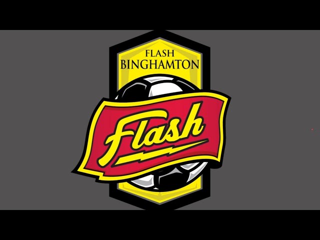 Flash 2013ns.