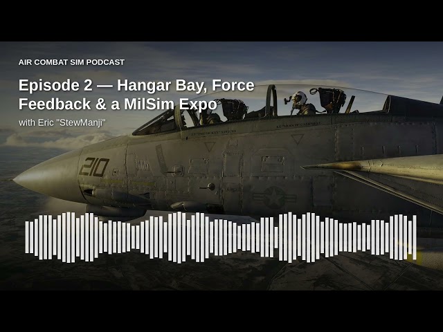 Air Combat Sim: Inside the Flight Sim Rabbit Hole with Rob and Stewmanji (Episode 2)
