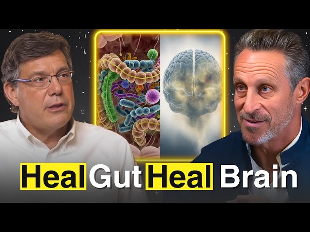 The Truth About Brain Fog: It’s Not Just In Your Head