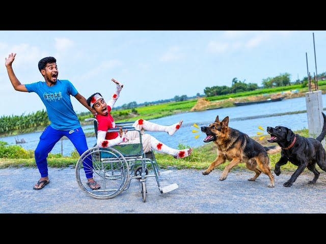 Very Special Trending Comedy Video 2026 😂 Amazing Funny Video Episode @152