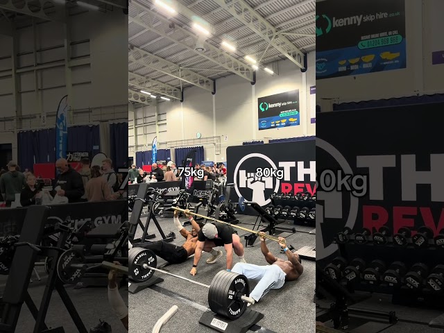gym + calisthenics fusion (teddybankz)