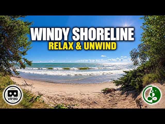 Windy Shoreline | Midday Waves & Nature Relaxation in VR180