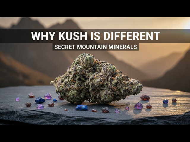 Why Kush is Different: The Secret Minerals of the Hindu Kush Mountains