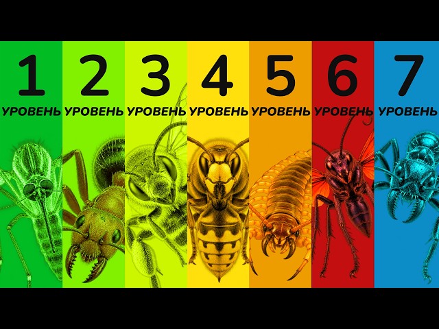 All Levels of PAIN from Insect Bites