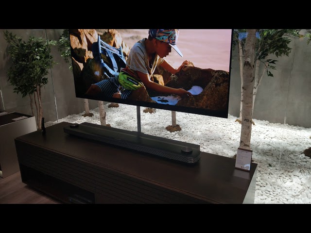 LG's Glass Mounted W8 OLED TV 77", CES 2019 [4K Video]
