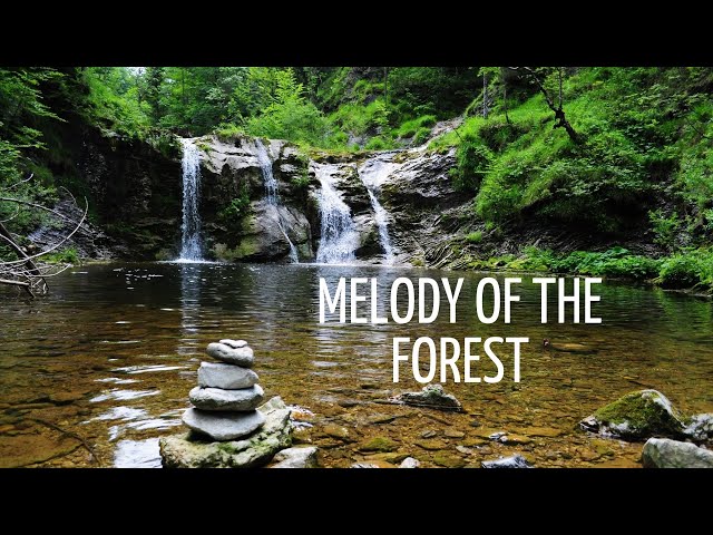 Music to heal body, soul and spirit Soothing, relaxing forest music