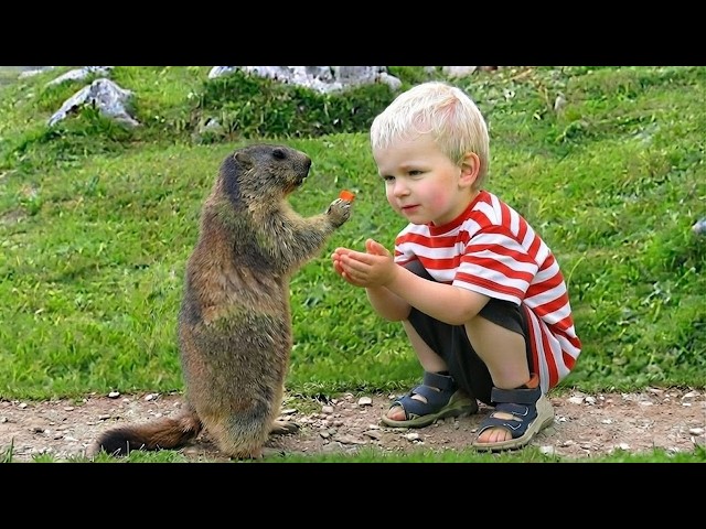 Baby and Animal Talk Like Best Friends 👶🐶🐱 Funniest Animal Videos!
