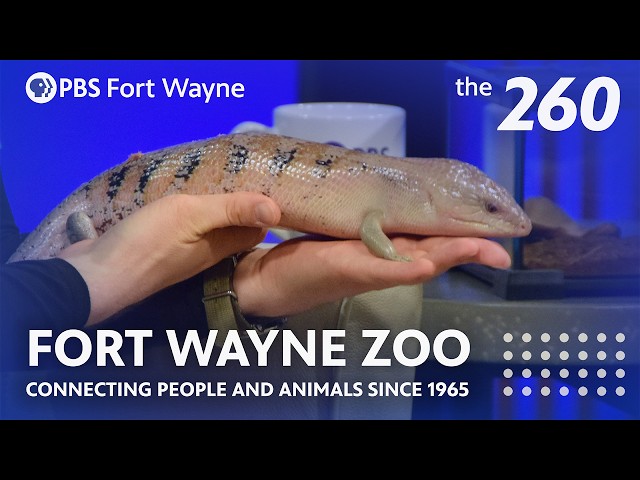 Fort Wayne Zoo | Connecting People to Wildlife and Conservation | The 260 on PBS Fort Wayne