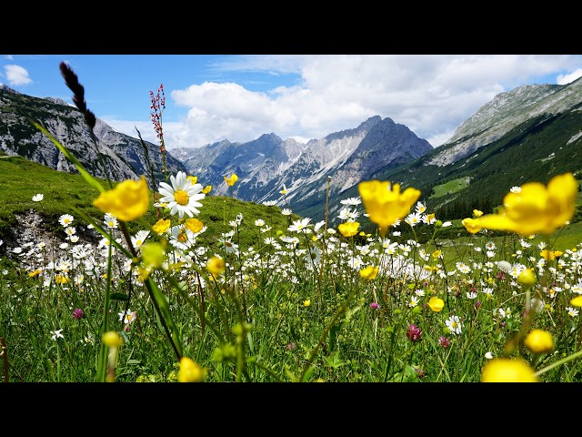 "Italy's Alps" Beautiful Relaxing Music, Peaceful Soothing Instrumental Music by Tim Janis