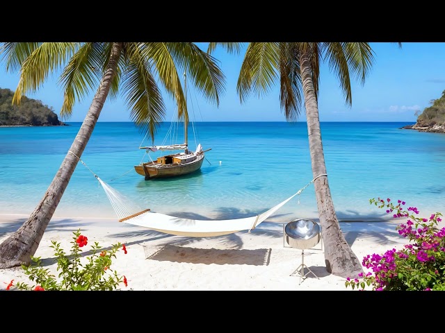 Relaxing Caribbean Steel Drum Music & Gentle Ocean Waves 🏝️ Sailboat Cove | Feel-Good Island Vibes