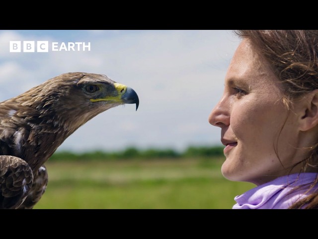 What Can Animals See That We Can’t? | BBC Earth Science