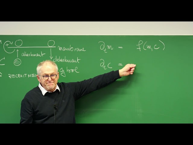 5. Dynamical Systems: Mass Conserving 2D, Turing Patterns, Stability Analysis, Jacobian Matrix