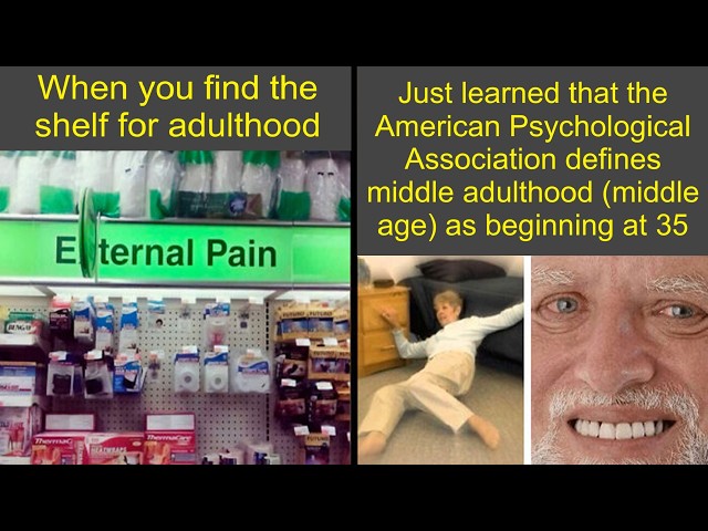 Adults Who Still Don’t Know What They’re Doing 😂 | Humor Sweet