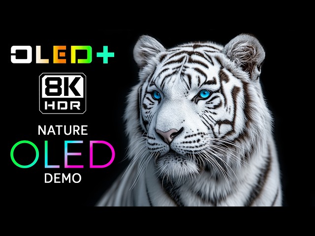 Premium Nature OLED Showcase | 16K HDR Dolby Vision 120FPS | 8K/4K Ultra HD TV