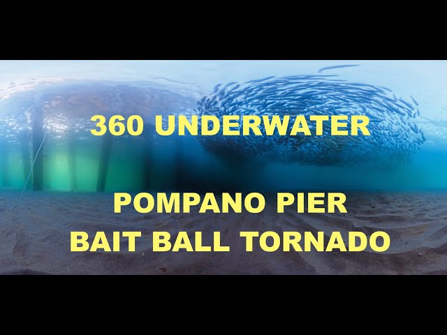 RAW 360 CLIP - CAMERA DROP ON THE POMPANO BEACH FISHING PIER - BAIT BALL TORNADO!!