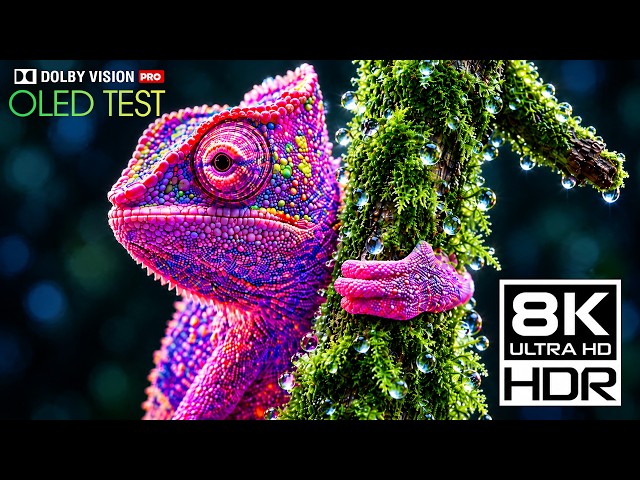 Incredible Detail & Color in 8K HDR Dolby Vision (8K 60fps Video)