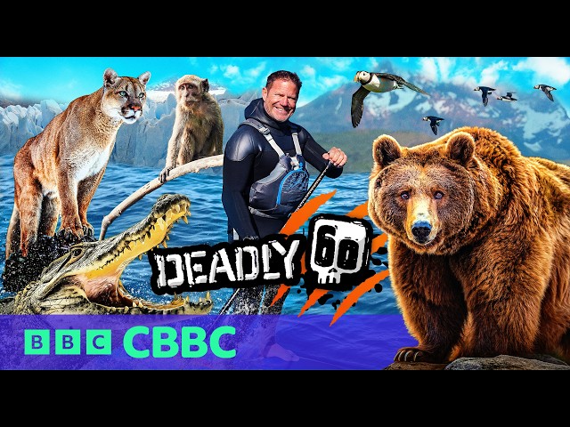 Deadly 60 | New Episodes | Watch Now on BBC iPlayer!