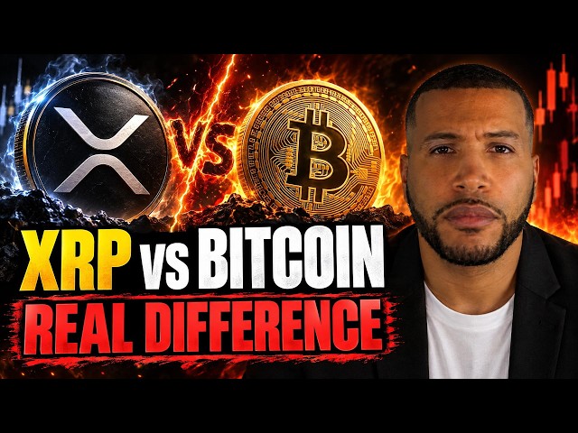 XRP vs Bitcoin: The Real Difference Most Investors Miss + AI, Quantum Stocks