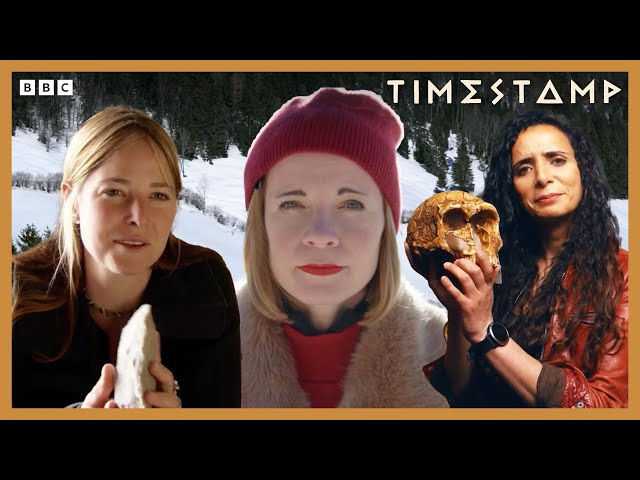 🔴 LIVE | Prehistoric findings on BBC documentaries | BBC Timestamp