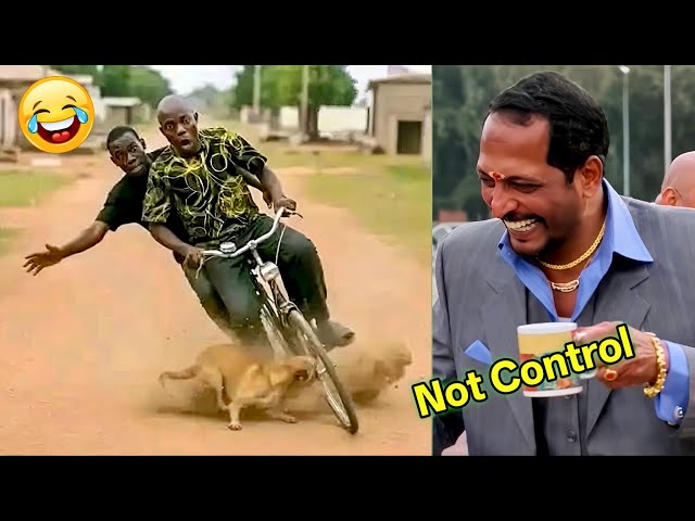 Top 150 Crazy Funny Videos 2026 🤣 Try Not To Laugh Challenge Impossible part 5