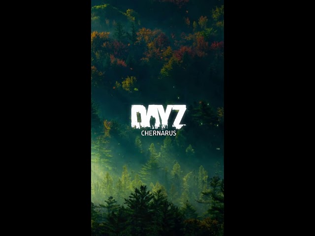 This Bunker Started It All - Playing With Viewers - DayZ 1440p (Portrait)