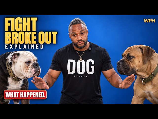 Fight Broke Out!! Explained……