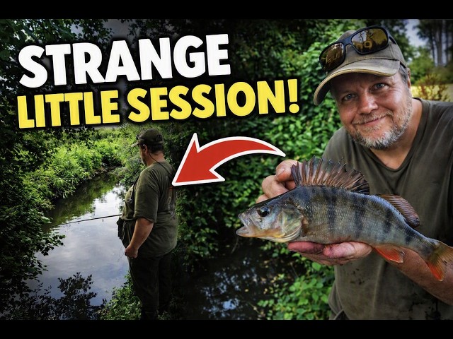 Exploring Small Rivers float fishing a STRANGE session