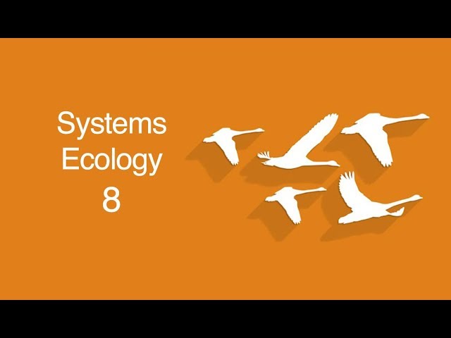 Ecological Self-Organization