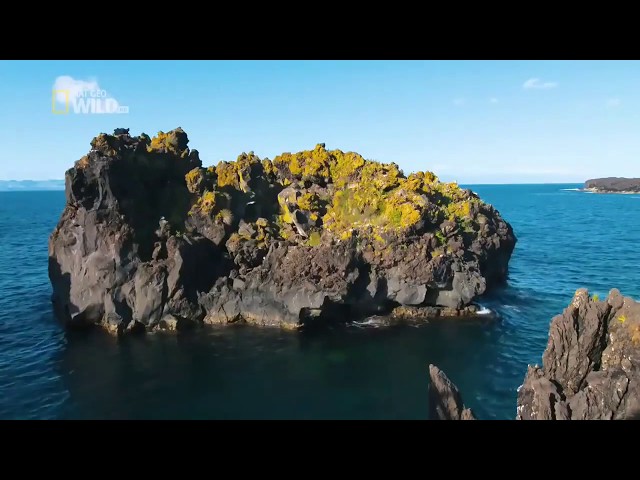 Дикая природа Португалии документальный фильм BBC NAT GEO WILD