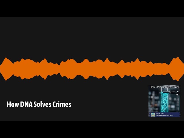 How DNA Solves Crimes | Everything Everywhere Daily: History, Science, Geography & More