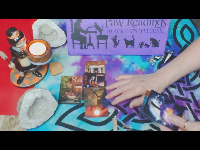 Lion's Gate Reading