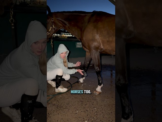 Welcome to Noodle & Chacatta’s AM routine at CHP🤗 #horsegirl #farmlife #morningroutine #fypシ #grwm