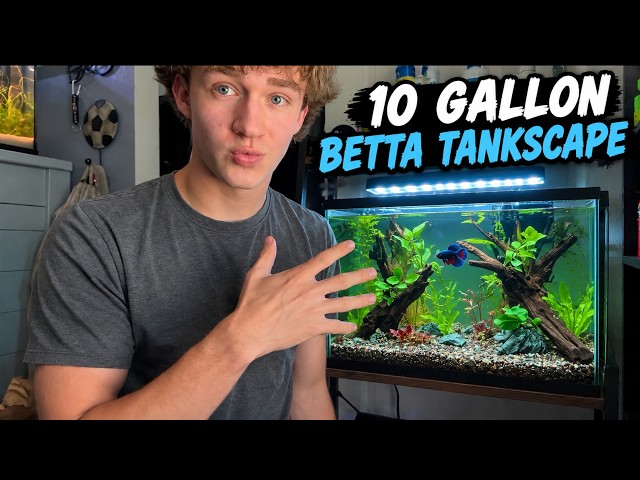 Transforming My Betta’s 10 Gallon Tank AGAIN!
