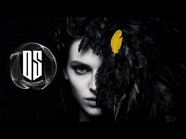 DS - I Hate you, I Love you (Original Mix)