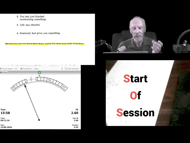 SOS (Start Of Session) Real Auditing Session Demo - Learn To Audit Yourself TODAY!