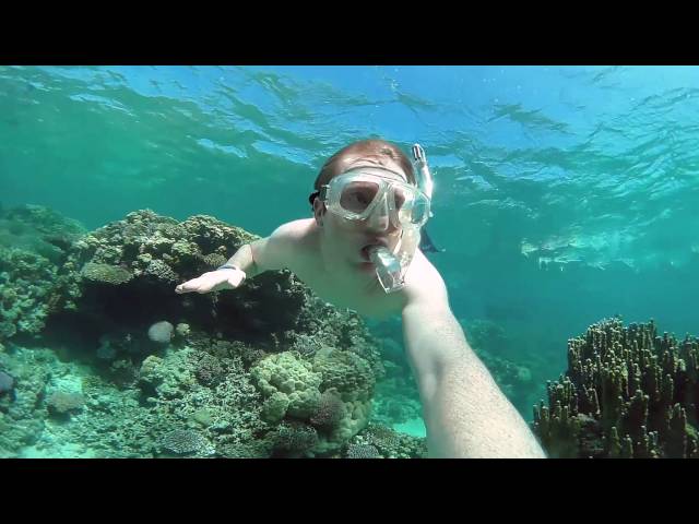 Schnorcheln im Roten Meer Ägypten 2016 - 360grad VR