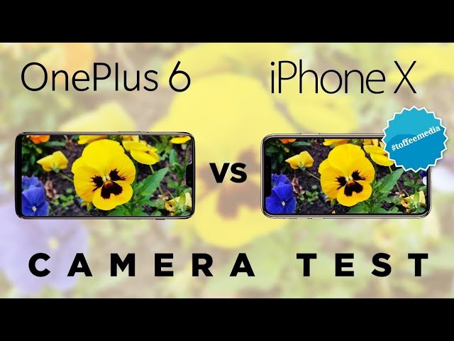 Camera Test : iPhone X VS One plus 6 Full Camera Comparison | Toffee Media