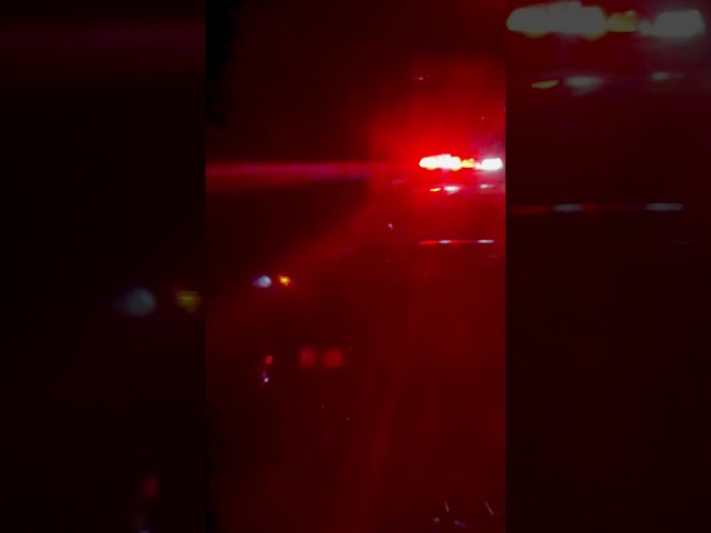 🥹 #papagod #trend #police #human #nypd 🫶🏻🎃