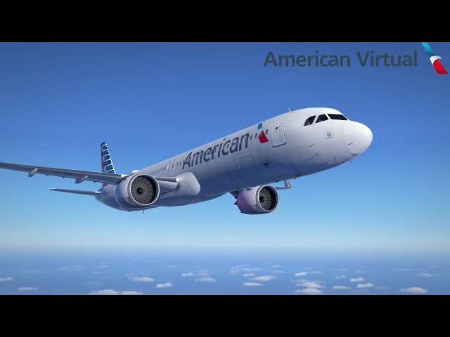 A Day In The Life Of An American Virtual Pilot