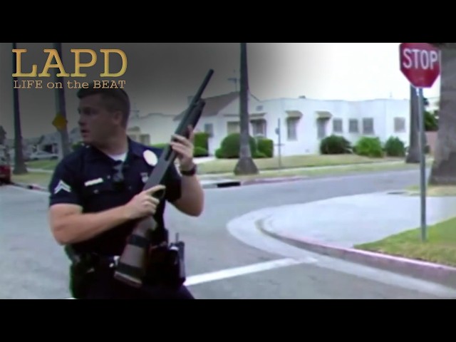LAPD: Life On The Beat - Season 2 "Loaded Conflict" (1997)