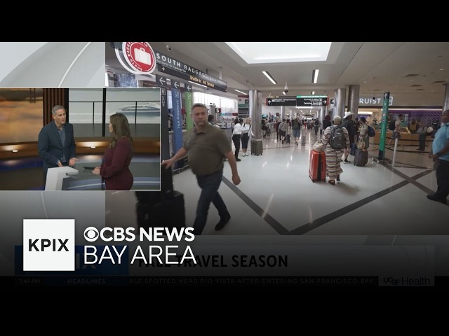 Three major U.S. airlines are cutting back flight schedules due to rising fuel costs