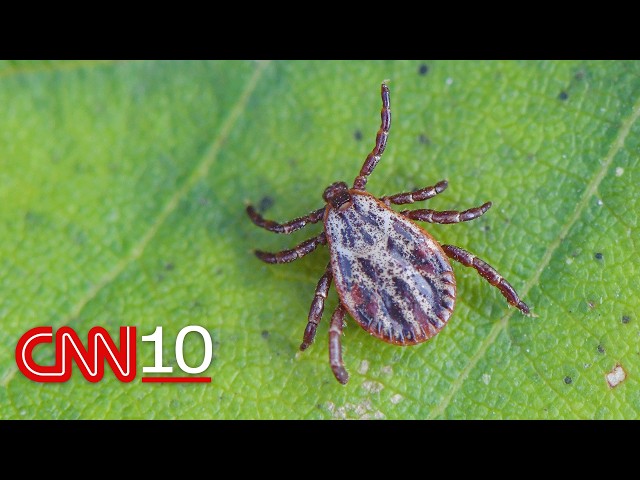 How scientists are using acorns to predict Lyme disease hot spots | October 14, 2026