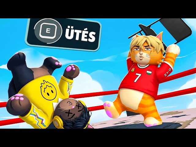 Őrült Roblox MACSKA Bunyó..😂