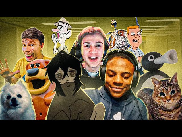 LOOPING THE MEMES