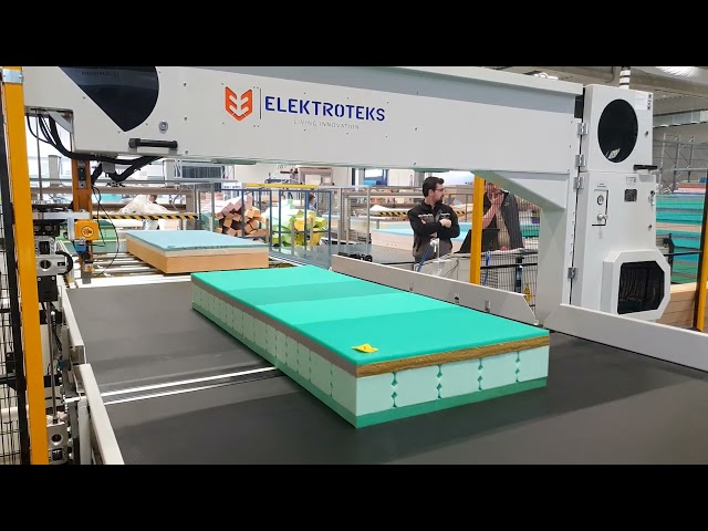 DXV-TRIM: Automatic Vertical Mattress Trimming Machine with Waste Removal System