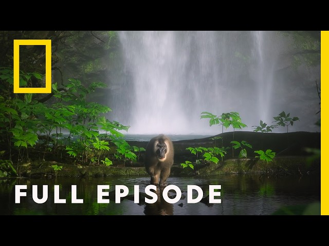 The Future of Africa (Full Episode) | Africa Earth’s Wild Home | National Geographic