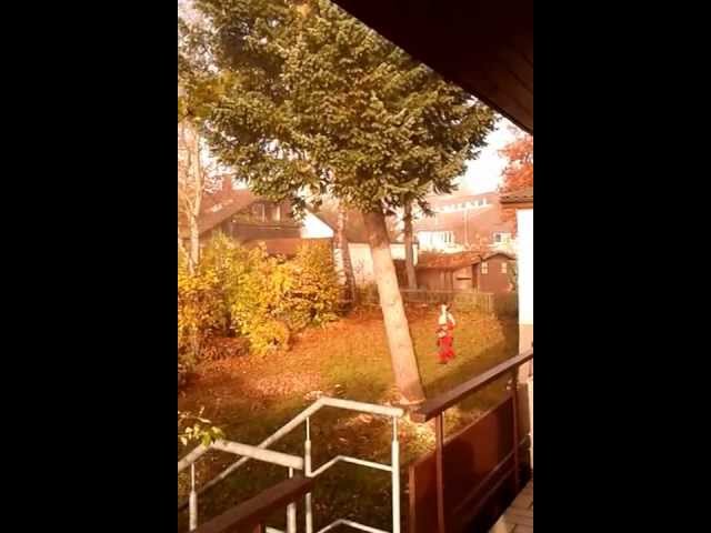 Baum Fääääällt!