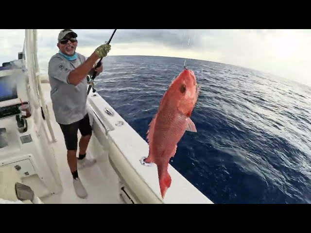 Why the Full Moon Changes Everything in Gulf Fishing